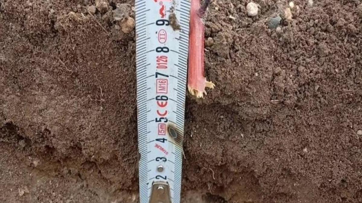 Konya’nın bir ilçesinde görüldü! Boyutu 10 cm’yi buldu