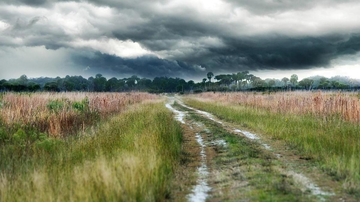 Malatya'da hava durumu: 1 Ekim 2025 Malatya'da bugün hava nasıl olacak?