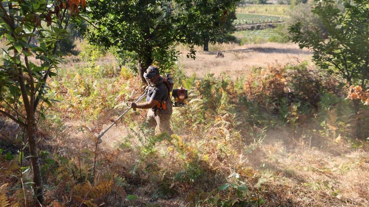 Hasat sezonu için hazırlıklar tamam! Kış mevsiminin keyfi onunla çıkıyor