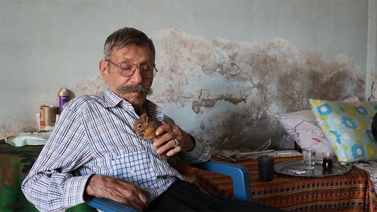 Kozan’da yürek burkan hikâye: 6 çocuğu kapısını açmıyor, bir tek sincap Kibar terk etmedi