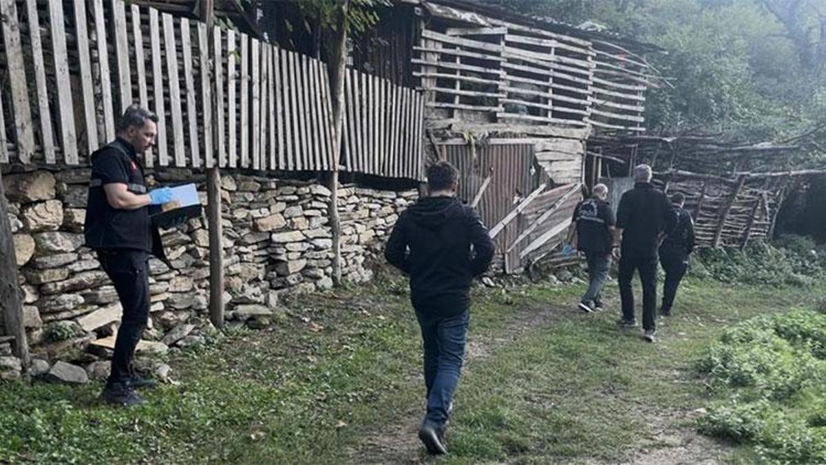 Uludağ'da kestane kavgası kana bulandı! Yaralılar var