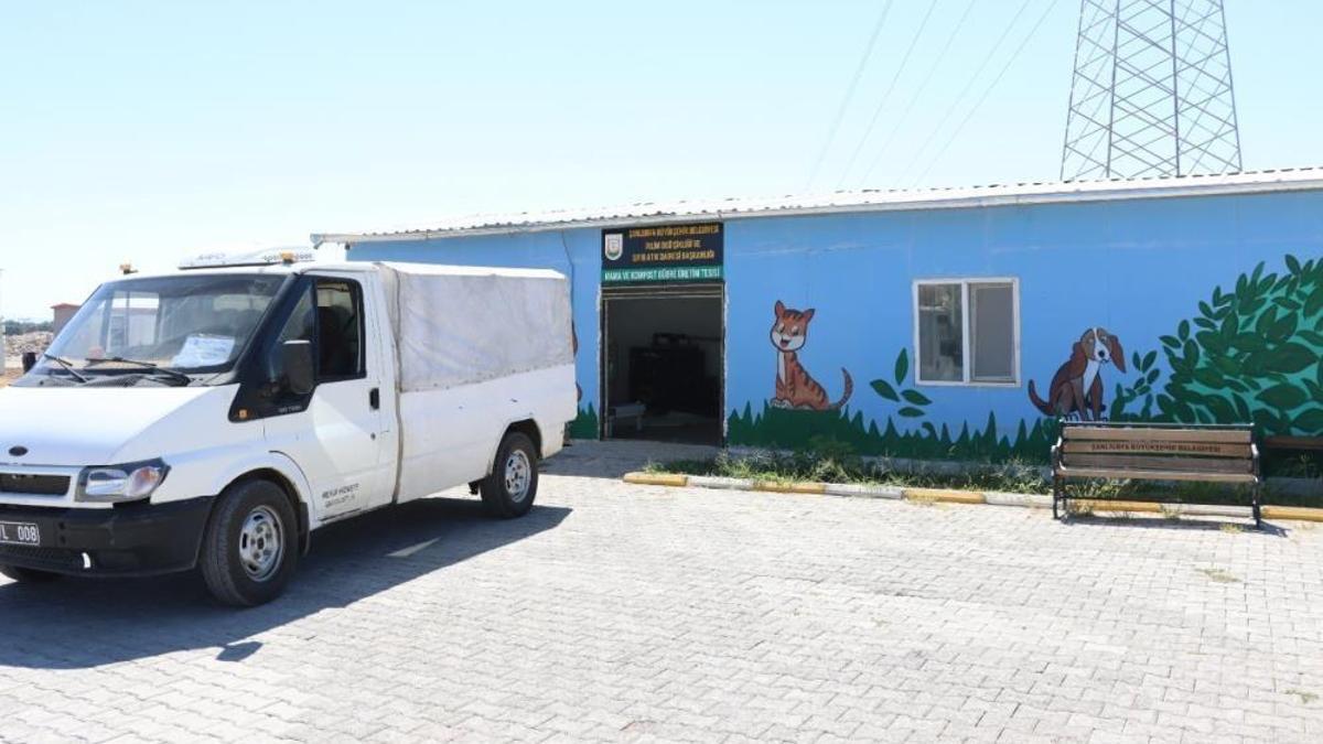 Şanlıurfa'da yeni başladı: Yüksek proteine dönüşüyor! Belediye kendi üretiyor