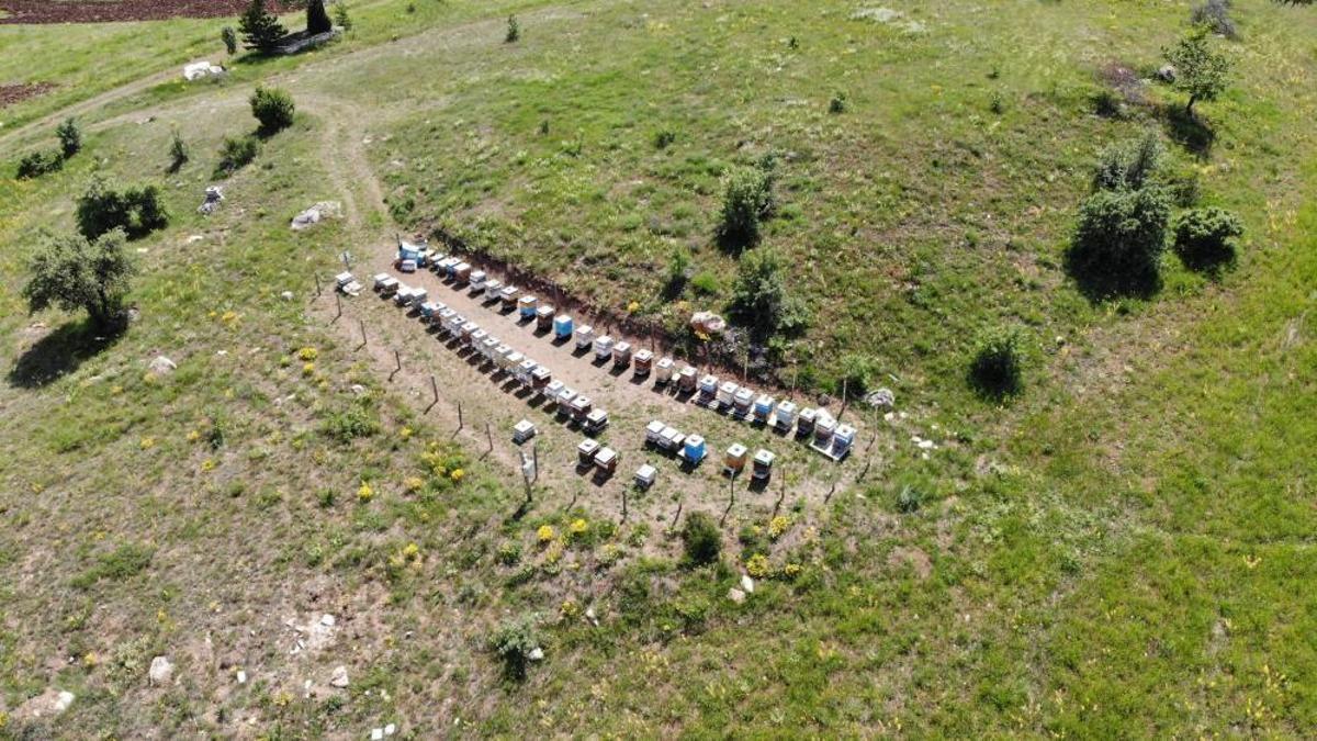 Bayburtlu arıcılara destek çağrısı: 2025 kovan destekleme başvuruları başladı!
