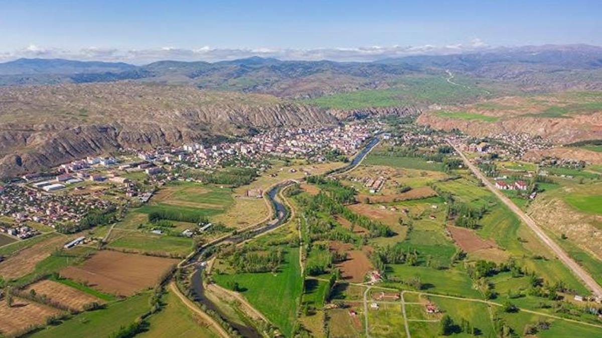 Sivas'ın köyünde özel üretiliyor! Binlercesi aynı anda yapıyor, dünya peşine düştü