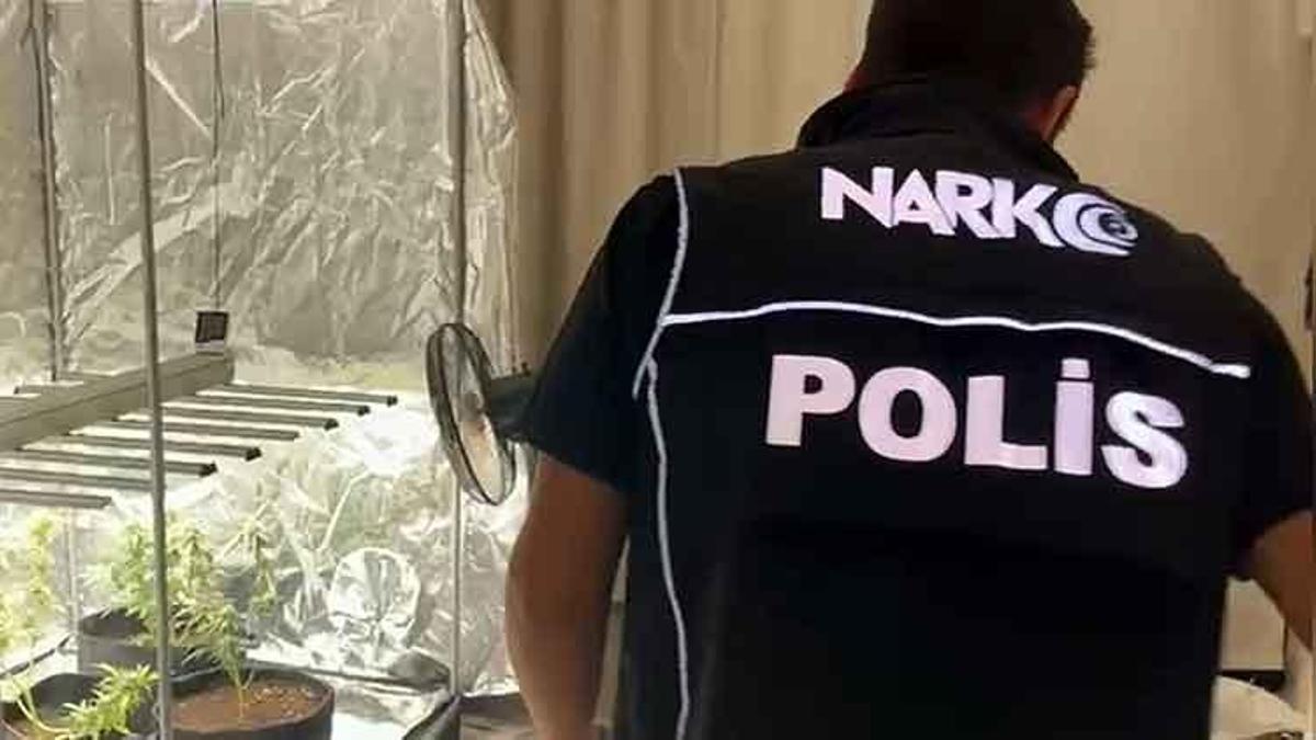 Yatak odasına sera kurup hint keneviri yetiştirdi, savunması ise pes dedirtti!
