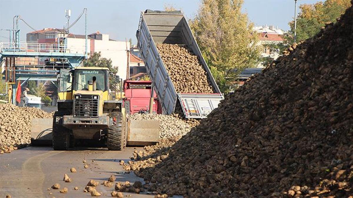 Zirai don ve kuraklık üretimi vurdu! Alım fiyatı 3 bin 100 TL olarak revize edildi