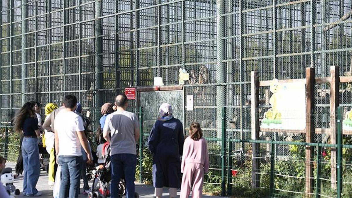 Giriş tamamen ücretsiz! Kayserililer akın etti