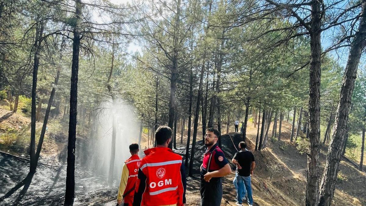 Genç’te çıkan orman yangını söndürüldü