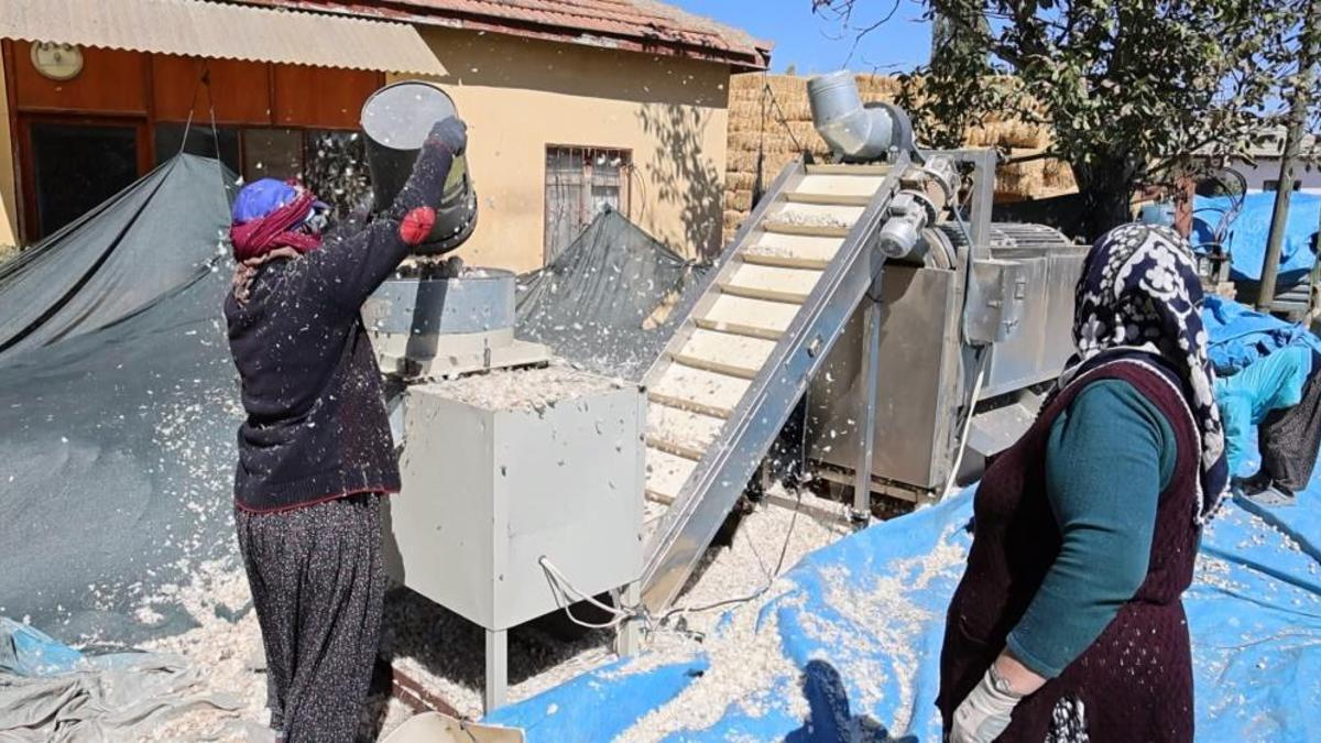 Müşterisi şimdiden hazır! Organik mahsullerin ekimi başladı: Raf ömürleri uzun, getirisi yüksek