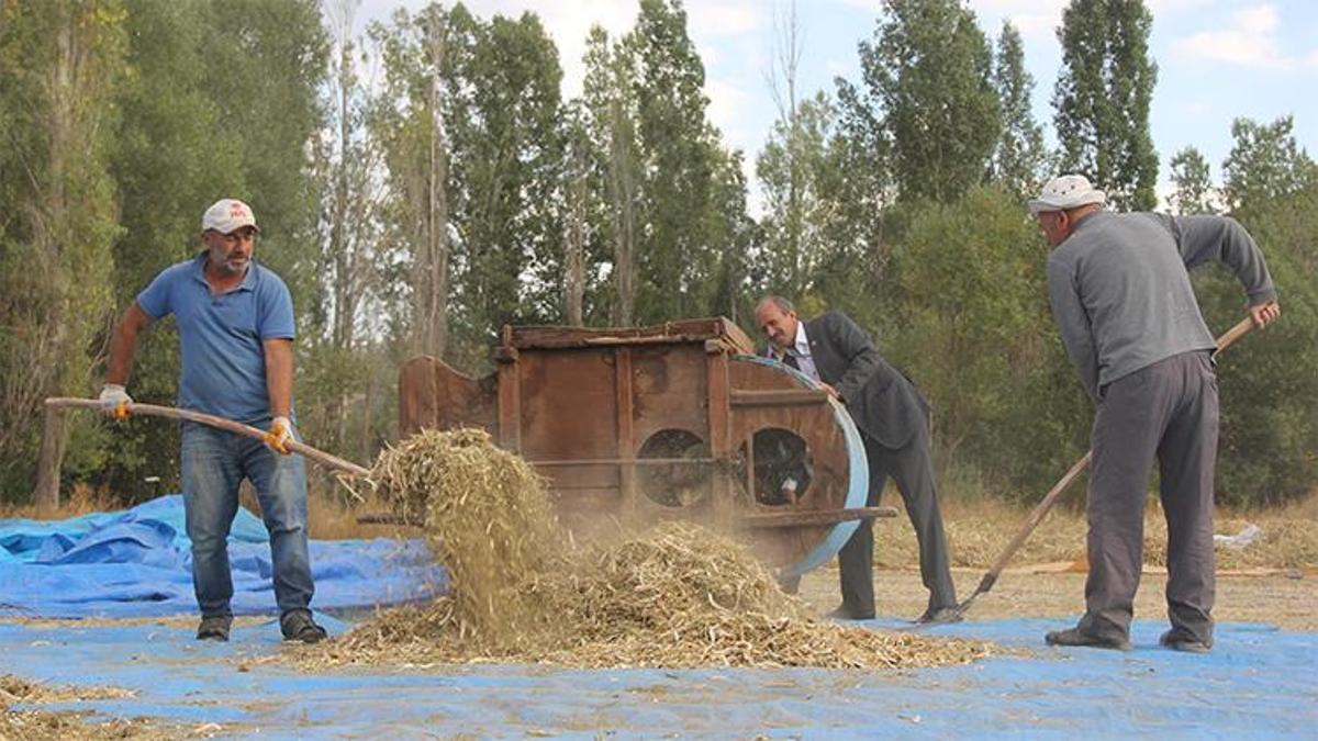 Sivas’ta tohumlar dededen, direniş torundan! Modern tarıma meydan okuyor