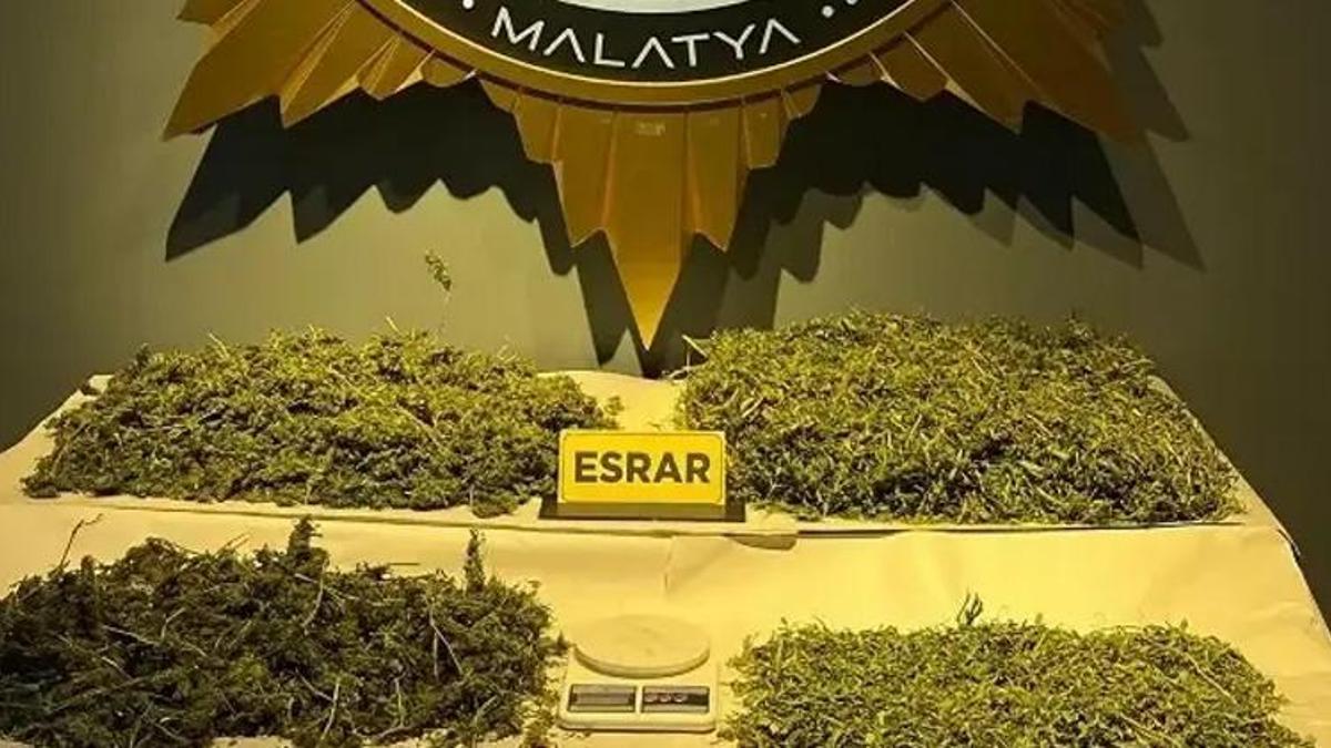 Malatya'da 13 kilo 560 gram kenevir ele geçirildi