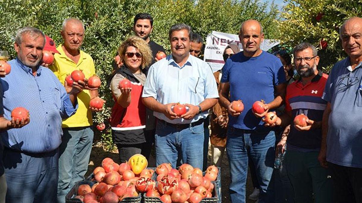 Soğuk havaların vazgeçilmezi! Tam bir sağlık deposu