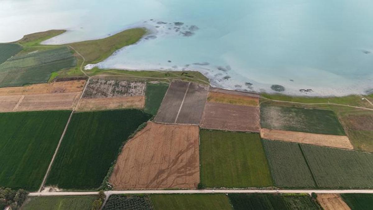 Adana alarm veriyor: Çukurova’da kuraklık şoku: İklim krizi ve betonlaşma kıskacında, acil önlem şart