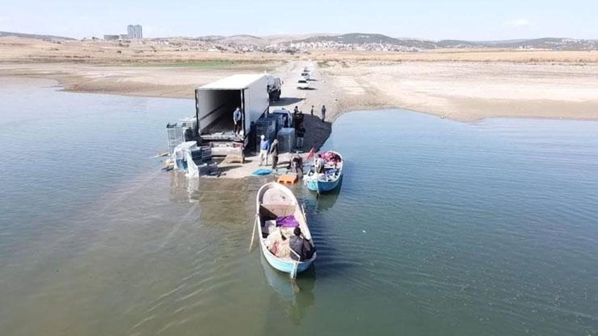 Denizi olmayan bozkırın ortasından Avrupa'ya balık ihracatı! Zahmeti çok, fiyatı uygun