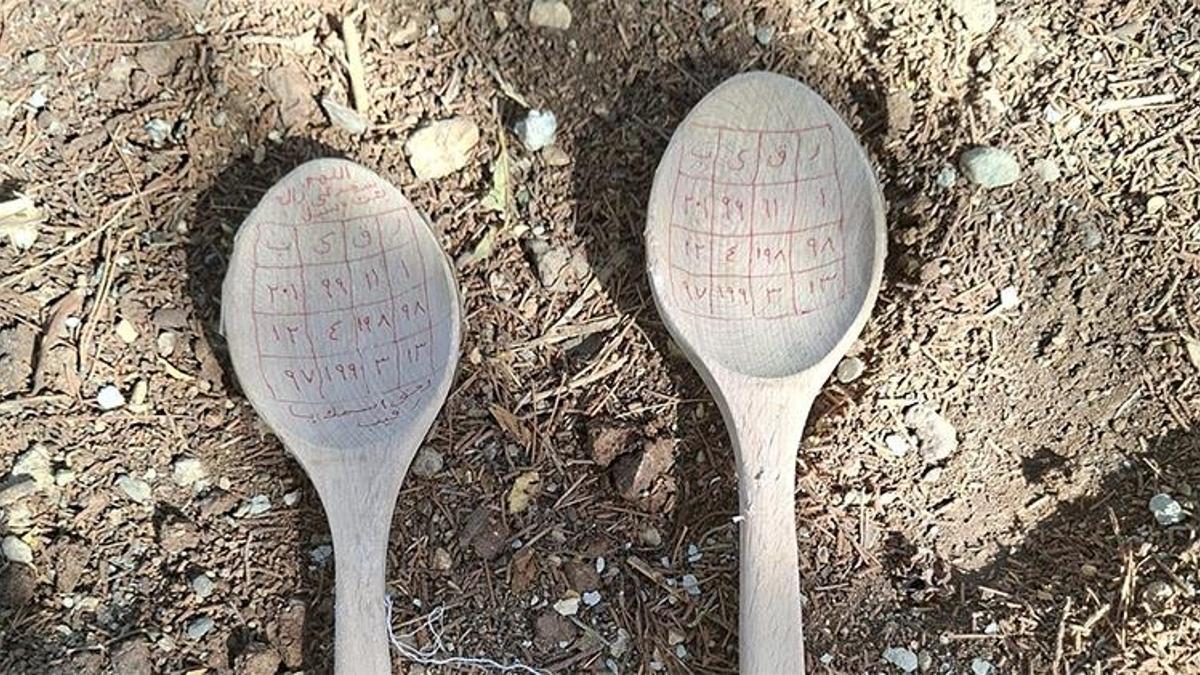 Diyarbakır'da mezarlıkta bulundu! Görenleri hayrete düşüren görüntü... İmha edildi