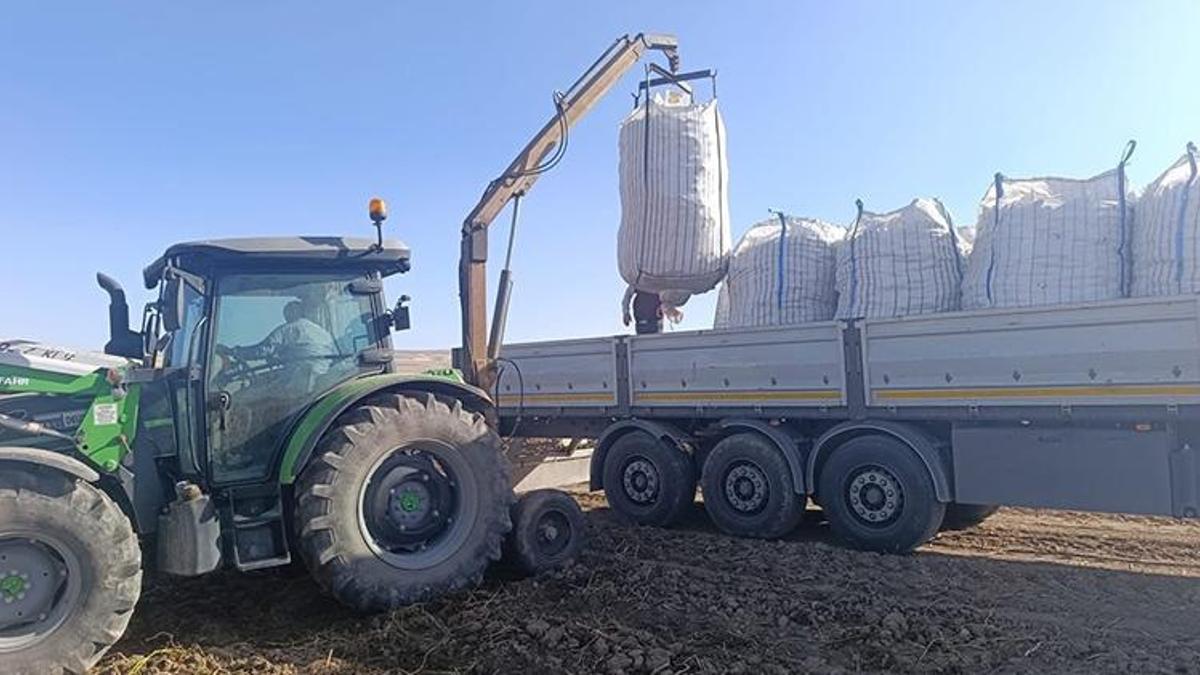 Çiftçiler tarlaya indi! İlk ürünler toplanmaya başlandı! Üretici mutlu
