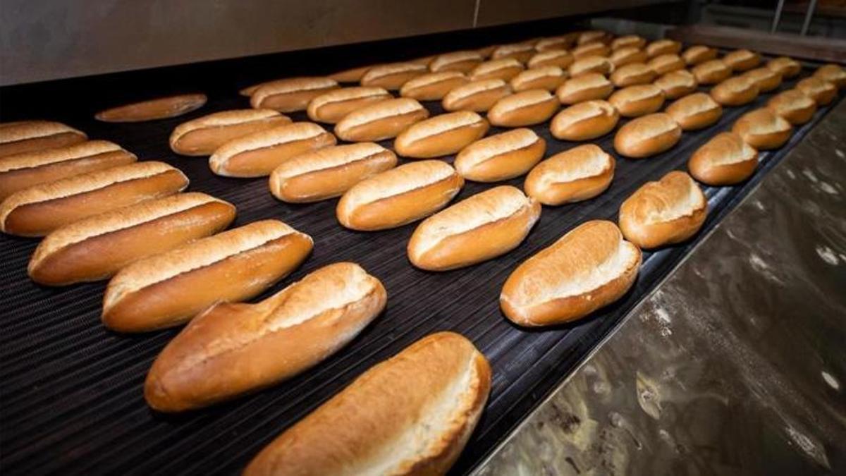 İzmir'de halk ekmeğe zam! Yeni fiyatlar belli oldu