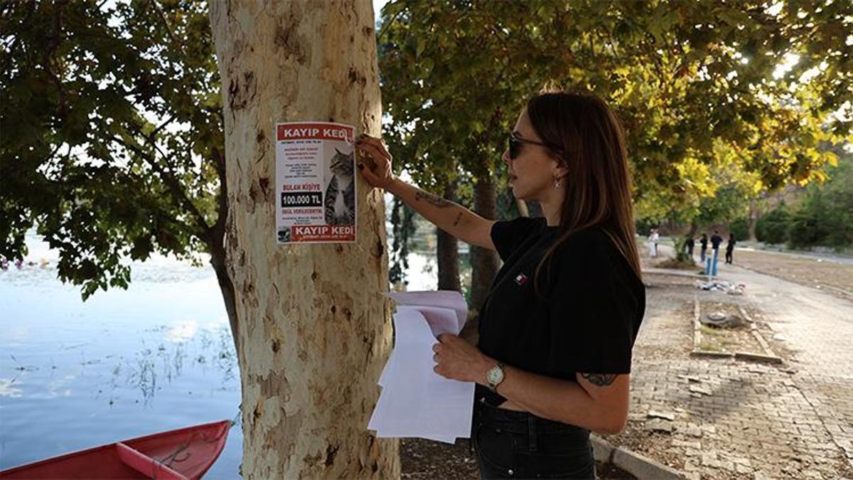 100 bin lira ödül! Adanalı genç kadın vazgeçmiyor, sokak sokak arayışını sürdürüyor