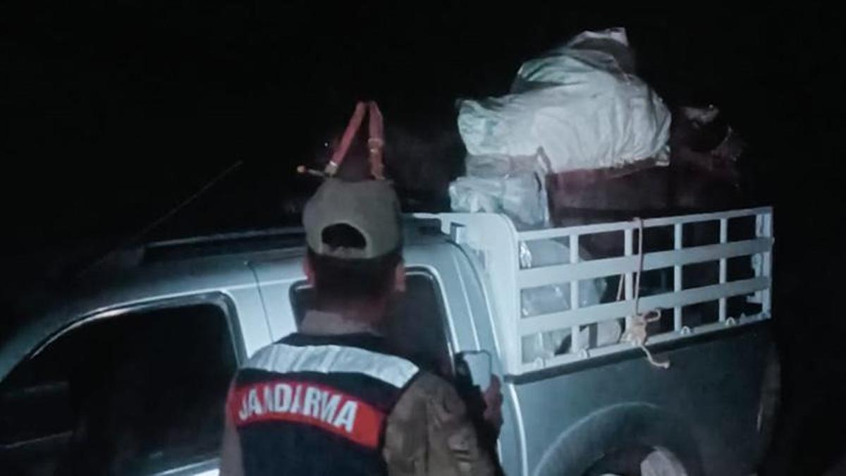 Tunceli'de doğa katliamına geçit yok! 200 kilo sarımsağın cezası yarım milyon TL oldu