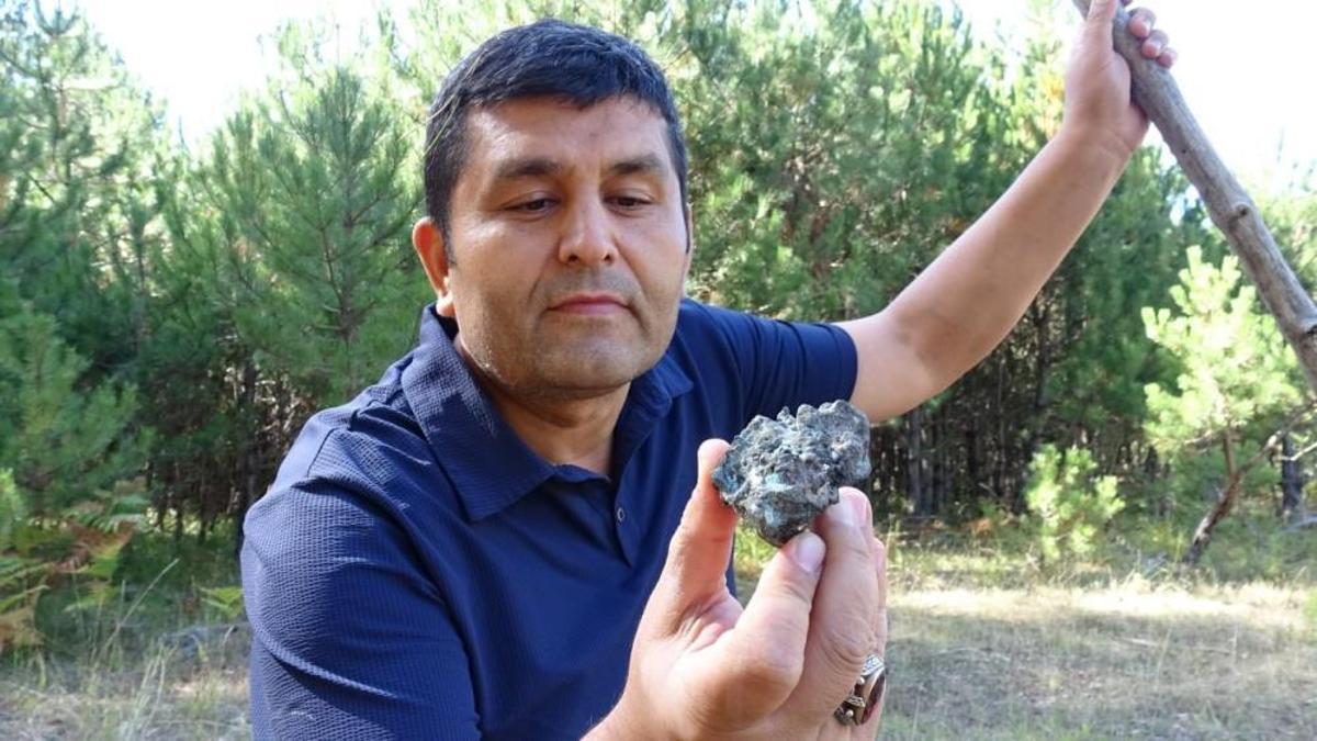 Mantar toplamaya gittiği yerde tesadüfen buldu, hayatı değişti: Karabük'te 1700 rakımlı zirvede şok keşif! 250 gram ağırlığında