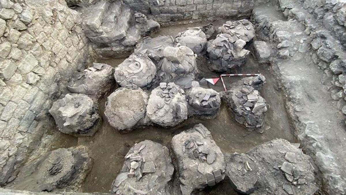 Karaman'ın köyünde keşfedildi! Bilim insanları görünce inanamadı, 5 tanesi yan yana bulundu