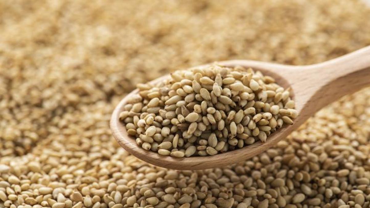 Antalya'nın yeni 'altın'ı: Manavgat altın susamı tescillendi: 25 milyon turiste tanıtılacak