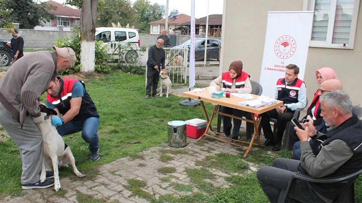 Düzce'de çalışmalar hız kesmeden devam ediyor! Son tarih 31 Aralık 2025