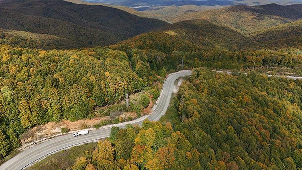 Istranca ormanları sonbaharın renklerine büründü! Gören hayran kalıyor, ortaya kartpostallık manzaralar çıktı