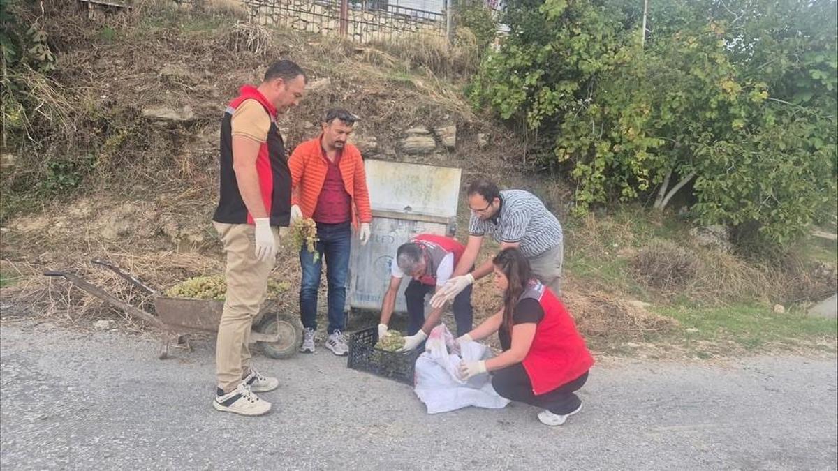 Hasat öncesi denetimler sıklaştı! Yasaklı maddeye geçit yok