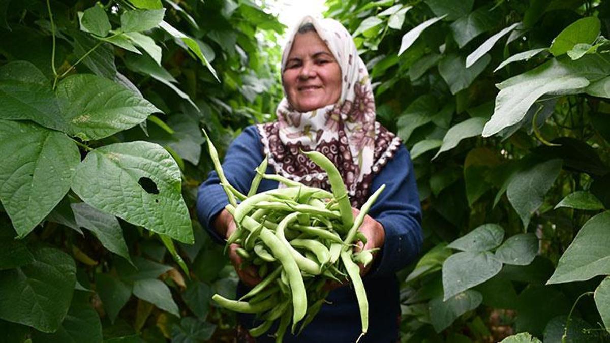 İnhisarlı 60 yaşındaki kadın üretici fark yarattı! Telefondan sipariş yağıyor: Elektrikli kamyonetimle teslim ediyorum
