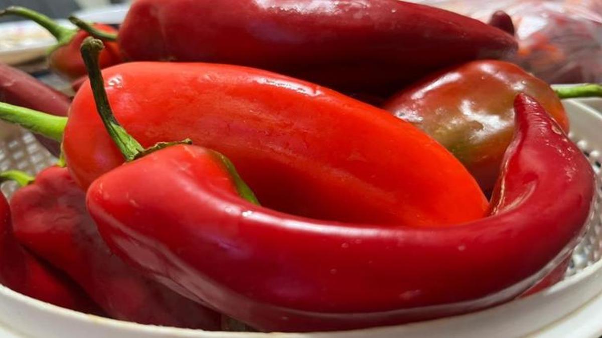 Menemen, fasulye, biber... Bayburtlu kadınlar kolları sıvadı! Buzluklar dolup taşıyor