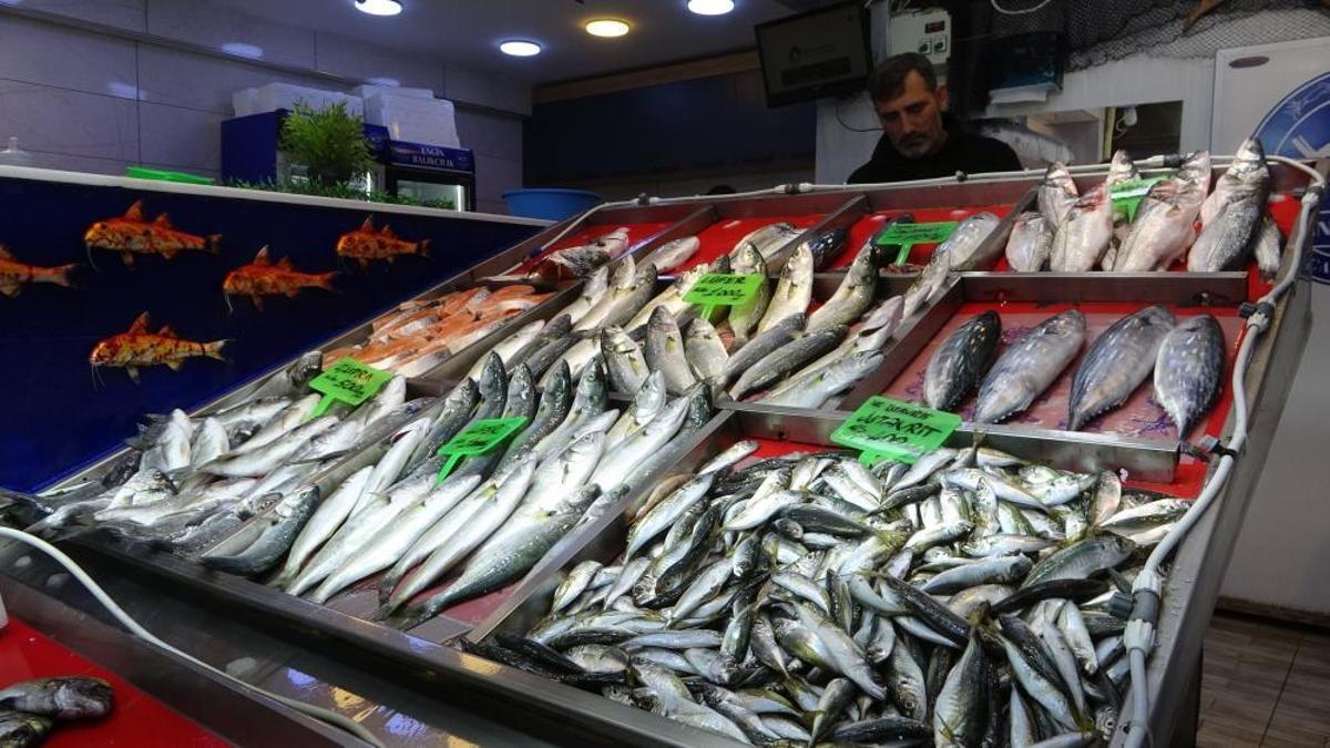 Denizlerin prensi 'lüfer' 900 liradan tezgahta