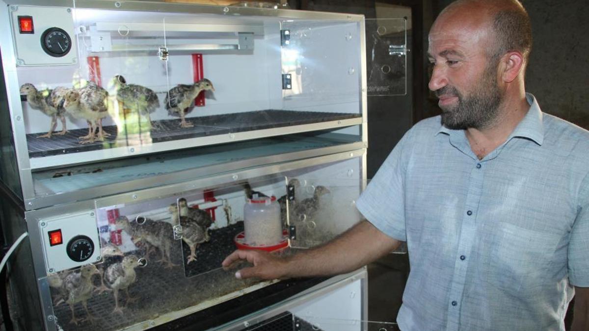 Şırnak'ta çaresizlikten doğan girişimcilik! Evinin bahçesini üretim üssüne çevirdi: Ailesine bu sayede bakabiliyor