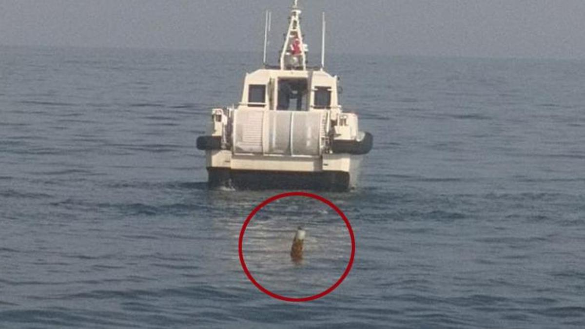 Karadeniz'de salyangoz avlarken buldular! Şaşkına çeviren cisim! Ekipler alarma geçti