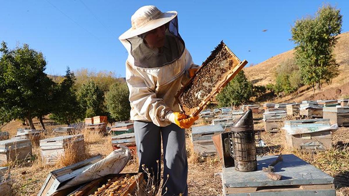 Hakkari'deki köyüne dönüş yapıp devlet desteğiyle üretime başladı!