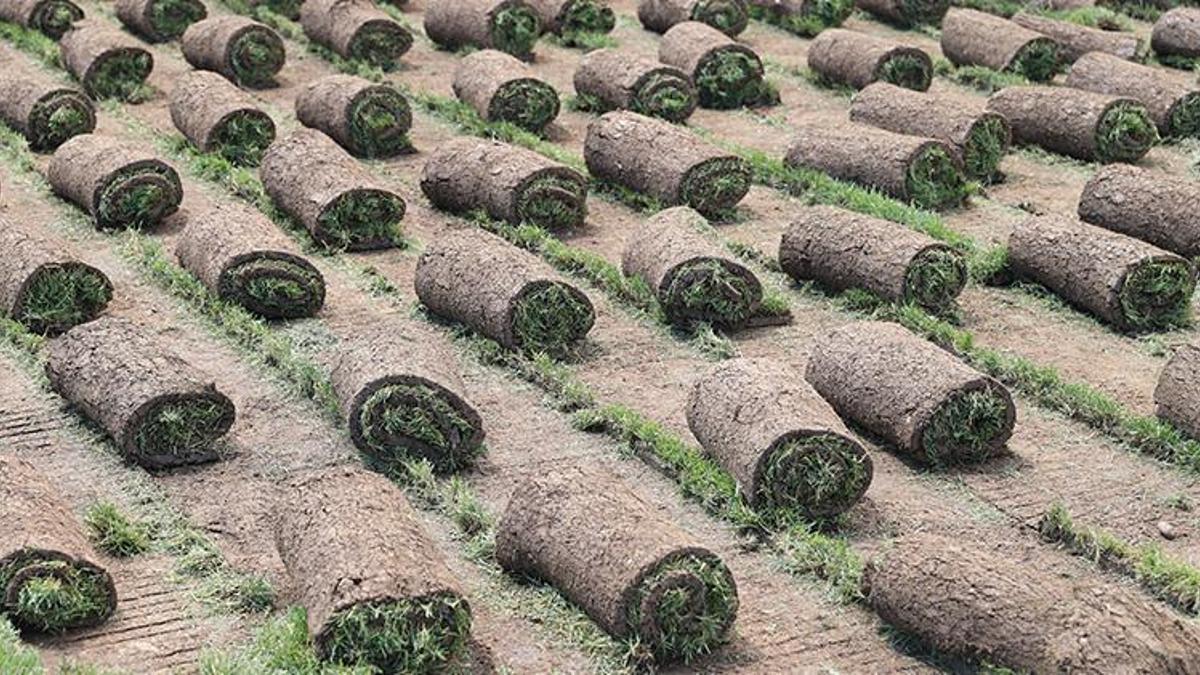 24 yılda 50 kat büyüdü, köyden kente göçü tersine çevirdi! Fenerbahçe, Galatasaray, Beşiktaş sıraya girdi