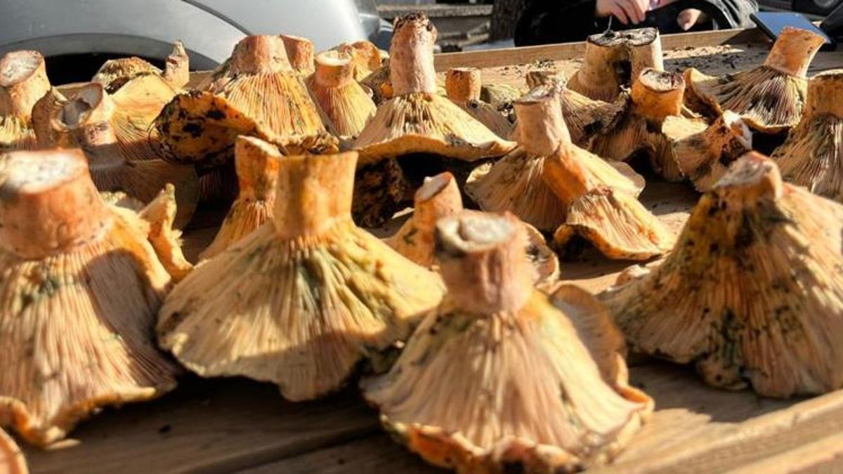 400 liradan satılıyordu! Fiyatlar düştü, tezgahlar dolup taştı: Vatandaşlar kapış kapış alıyor