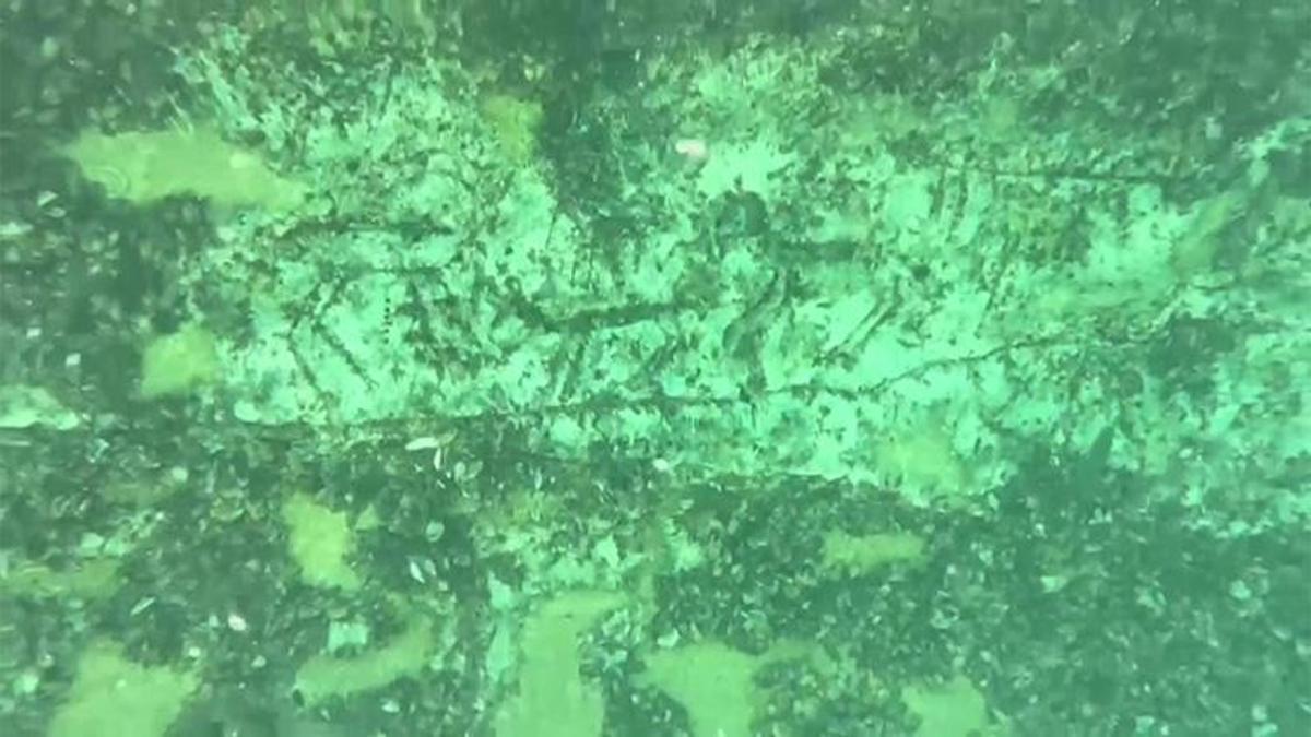 Sular çekildi, tarih ortaya çıktı! Adıyaman'da 12 bin yıllık kaya resimleri su altında görüntülendi