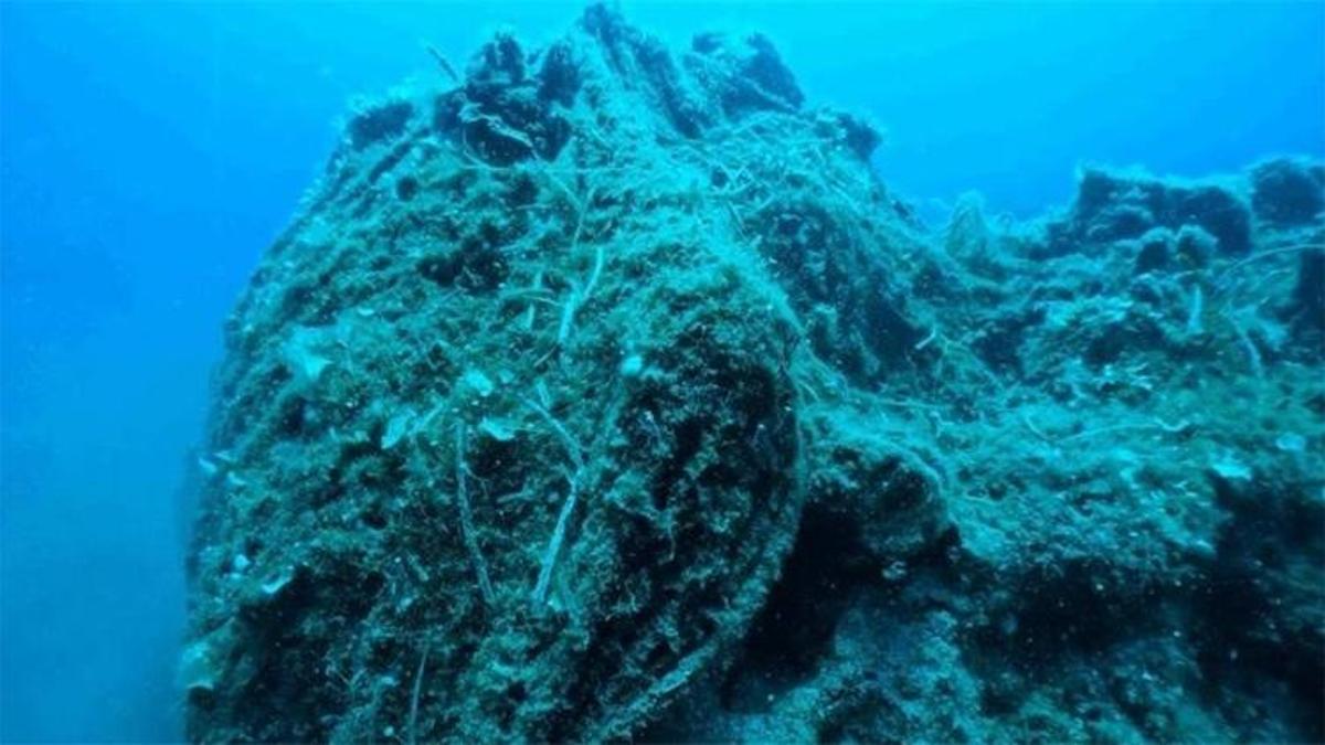 Karadeniz’de sessiz tehlike: Tam 1 milyon ton! KTÜ harekete geçti, seferberlik başlatıldı