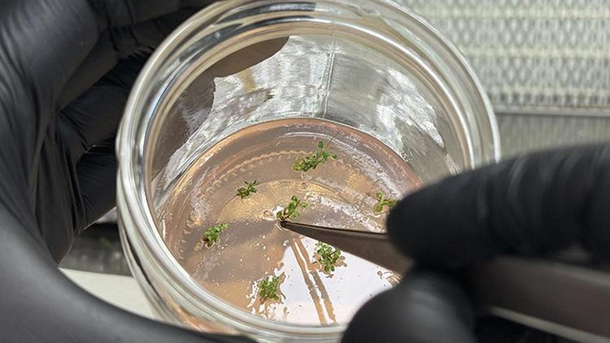 Trabzon'da 5 yıl önce kuruldu! 30 türde seri üretim yapılıyor: Küçük bir parçayla bile binlercesine ulaşılıyor