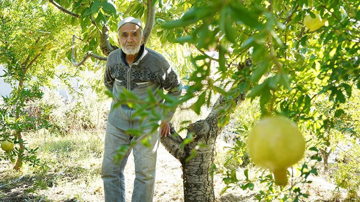 Ispartalı İbrahim dede çocukluk hayalini gerçekleştirdi! Ürünleri satmak için yetiştirmiyor