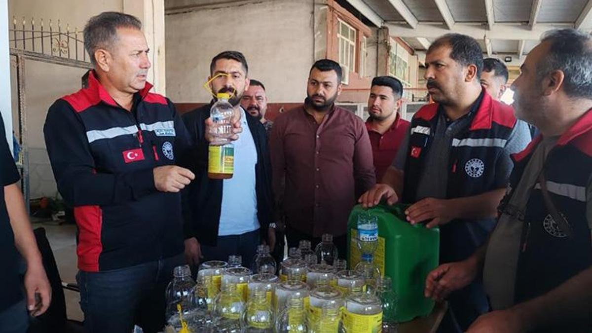 Kozan'da narenciye düşmanı Akdeniz meyve sineğine karşı dev operasyon!