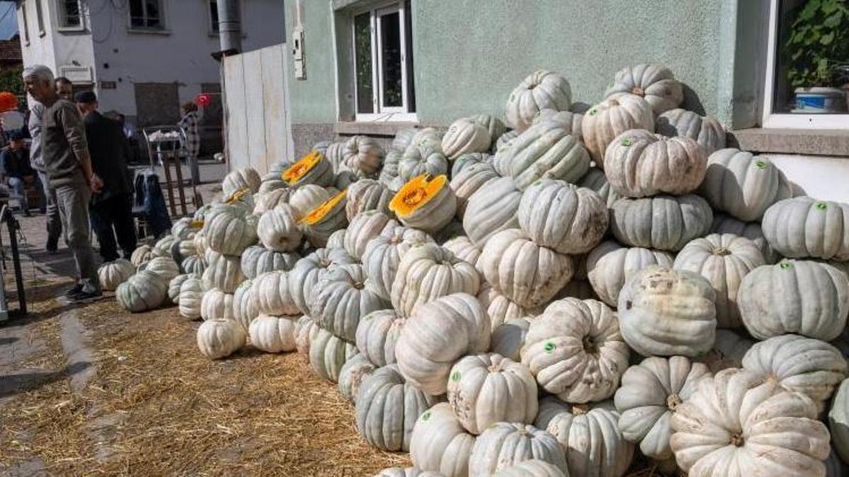 Eskişehir'de ata tohumuyla yetiştiriyorlar! Tüm Türkiye'ye gönderiyorlar: Coğrafi işaretli ürün kapış kapış satıldı