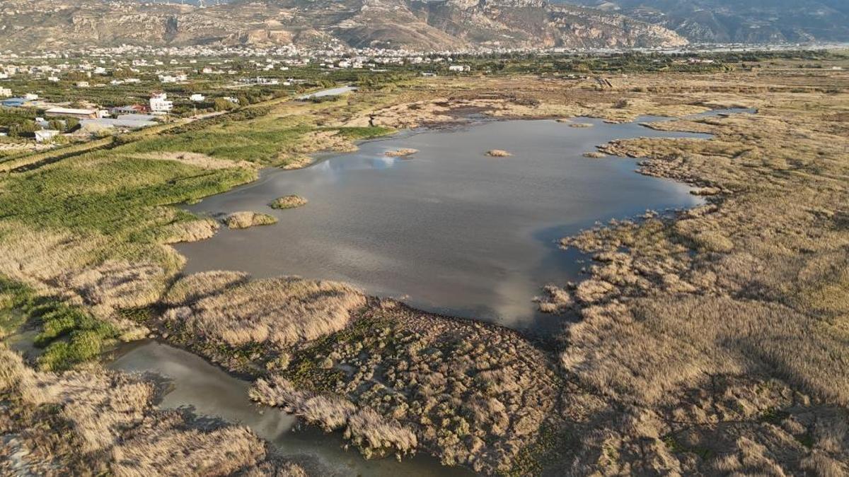 Mileyha'da kuş sesleri: Kuraklık son buldu!