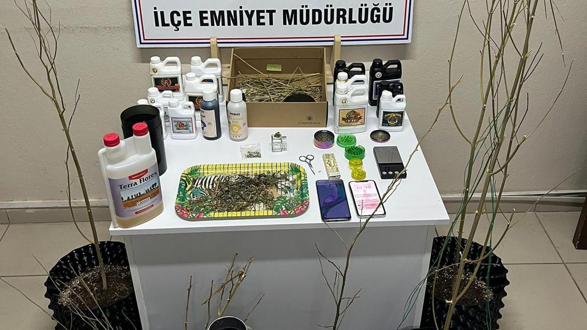Evlerine kurdukları sistemle kenevir yetiştirip uyuşturucu üreten 5 şüpheli gözaltında