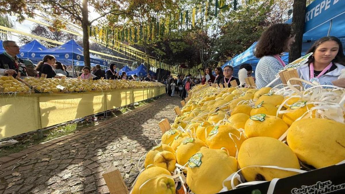 Kalitesiyle ünlü ayva, festivalle görücüye çıktı