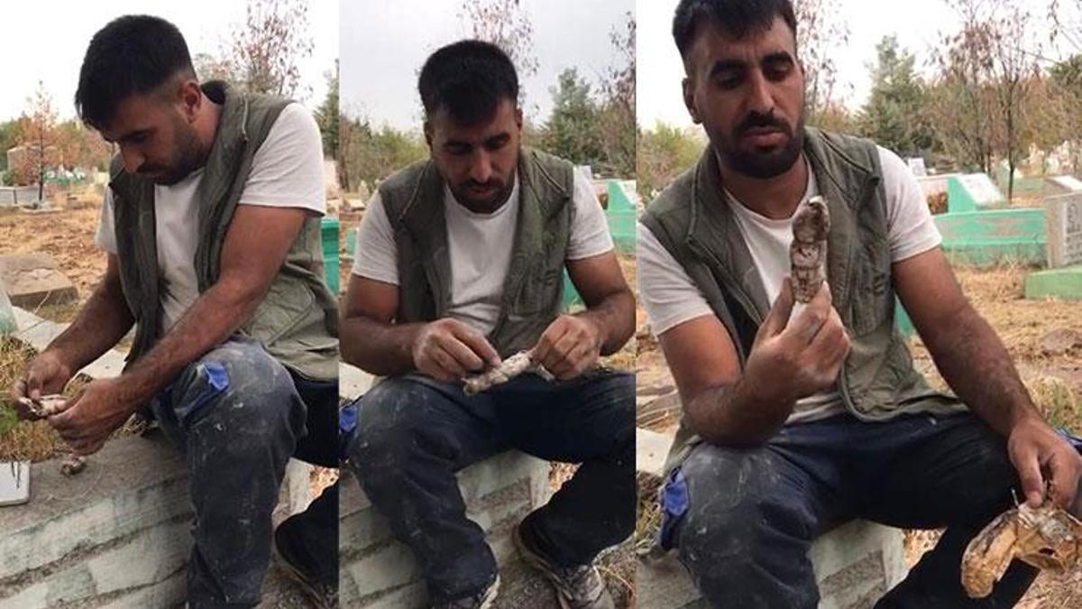 Mezarda gördüğü karşısında dili tutuldu! Son dönemlerde çok fazla rastlanıyor