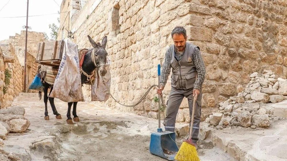 Kadrolu eşekler emekli edilecek! Yerlerine elektrikli paletli araçlar geliyor