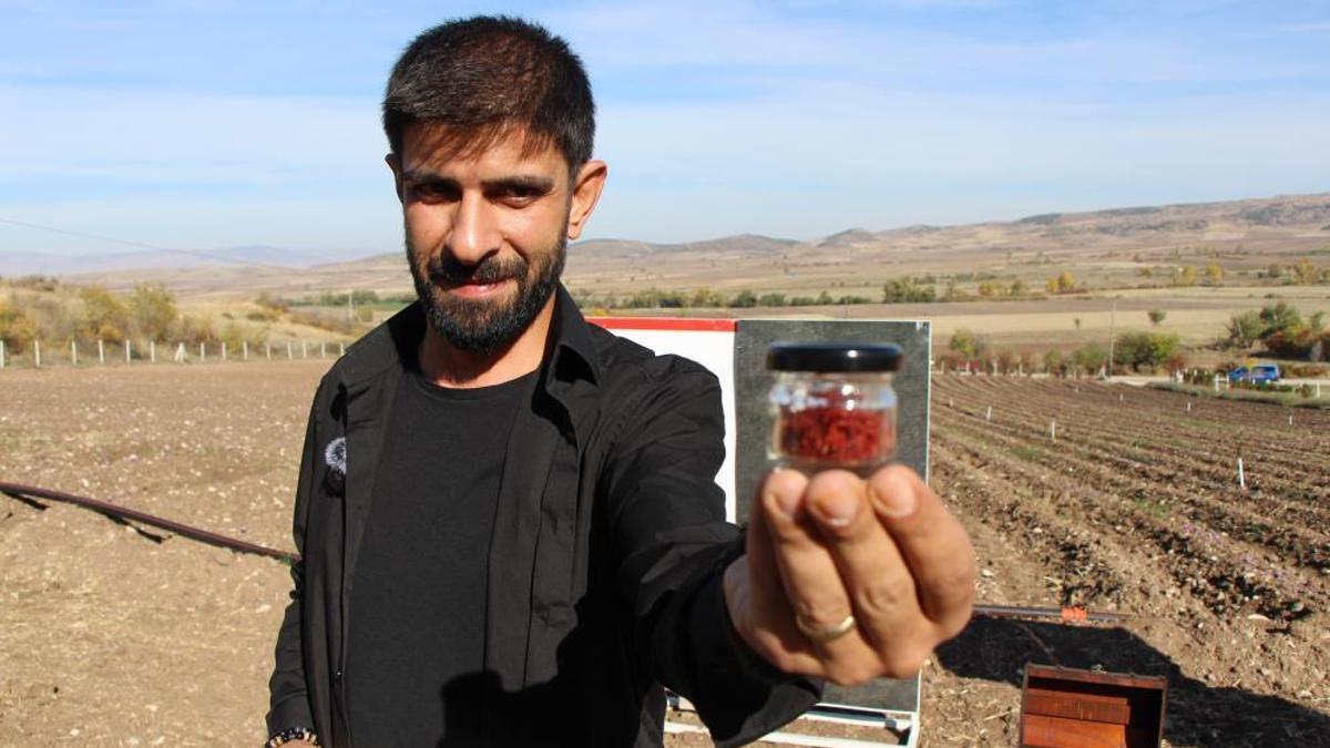 Dünyanın en pahalı baharatı! Saksıda bile yetişiyor, 1 gramı 500 TL