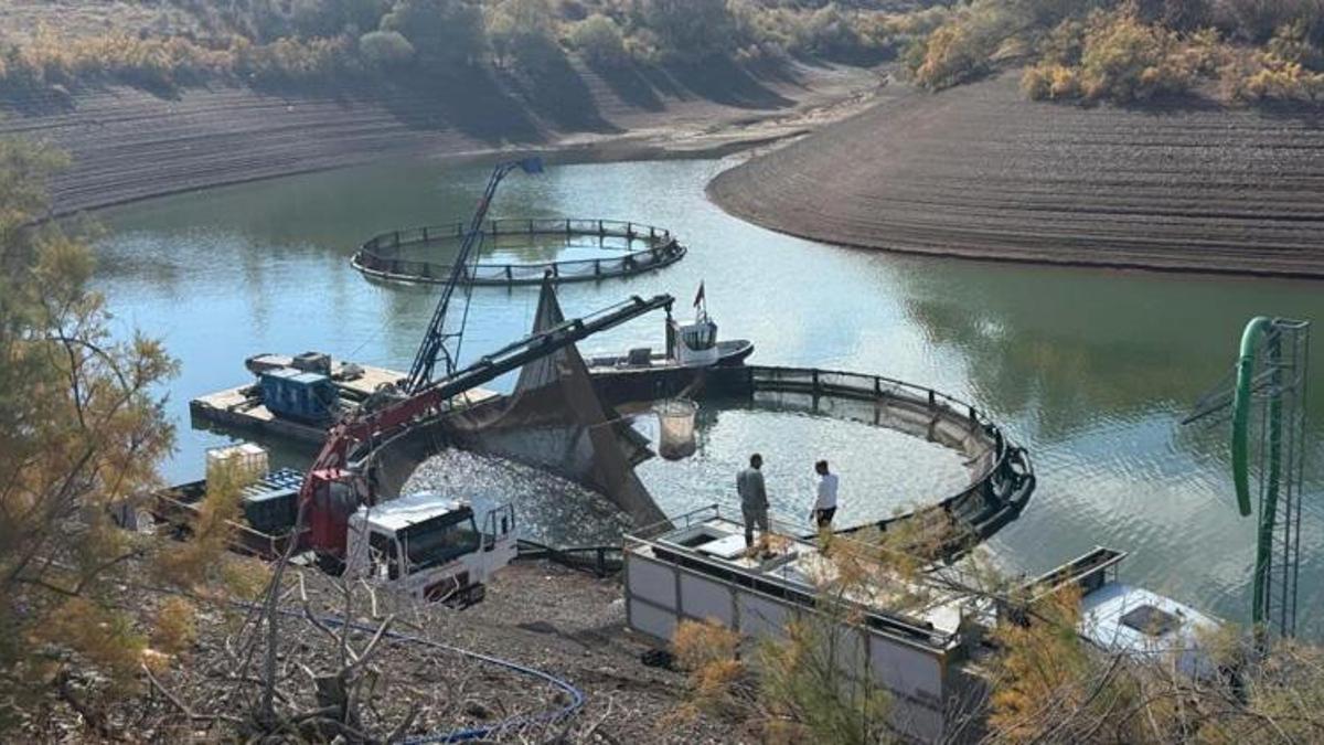 Erzincan’da su ürünlerinde rekor üretim: 200 tonluk hasat bölgeyi zenginleştirdi
